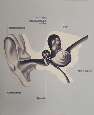 Deteció de patologies auditives